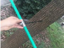 植物生长锥/树木生长锥（400）毫米