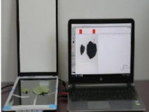 叶片图像分析仪/叶面积测量仪