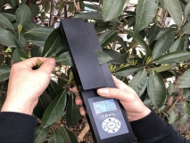 活体叶面积测定仪/叶面积测定仪