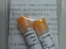 牛免疫球蛋白G(IgG)标准品