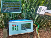 光合作用测定仪