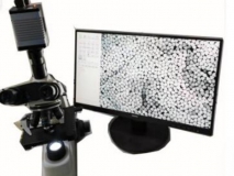 纤维细度投影仪/纤维细度及成分分析仪/纤维切片截面分析仪